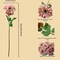 6 Pack Artificial Chrysanthemums Deep Pink Silk Flowers,24'in Long Stem Fake Mums,Suitable for Spring Easter Flowers,Wedding Decoration Bouquets,Fall Decor,Home Decor(Autumn Powder)